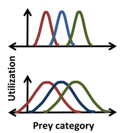 Where three species eat some of the same prey, a statistical picture of each niche shows overlap in resource usage between three species, indicating where competition is strongest.
