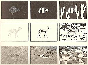 The principle of "maximum disruptive contrast" in Hugh Cott's 1940 Adaptive Coloration in Animals, "showing the distractive effect upon the eye of patterns which contrast as violently as possible with the tone of their background".[1] The examples are of a fish, an antelope, and a bird.