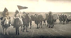 A photo of an Oirat caravan taken in the early 20th century