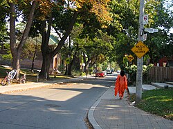 Urban canopy at a Toronto street