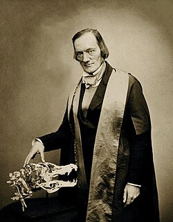 Richard Owen (1856)