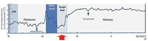 Evolution of temperatures in the postglacial period, after the Last Glacial Maximum, showing very low temperatures for the most part of the Younger Dryas, rapidly rising afterwards to reach the level of the warm Holocene, based on Greenland ice cores.[37]