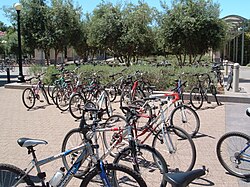 Many students use bicycles to get around the large campus