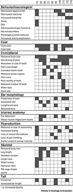 Traits used to define the animal domestication syndrome[29]