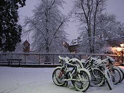Wellington Square has become synonymous with the university's central administration.