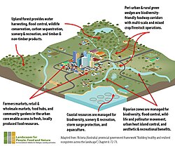 Ecosystem services in urban and rural areas