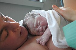 Newborn baby