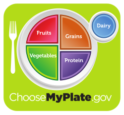 MyPlate replaced MyPyramid as the USDA nutrition guide.
