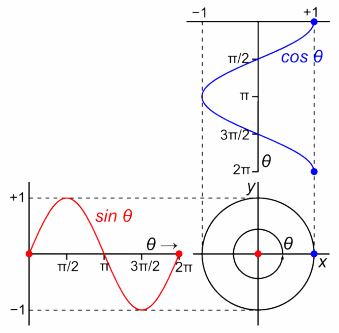 Tracing the y component of a circle while going around the circle results in a sine wave (red). Tracing the x component results in a cosine wave (blue). Both waves are sinusoids of the same frequency but different phases.