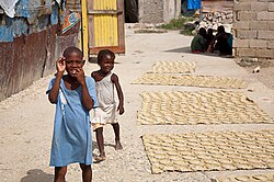 Haitian mud cookies drying in the sun, 2010