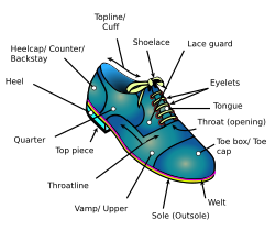 Typical shoe component location and nomenclature.