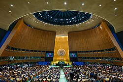 The UN General Assembly