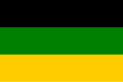 The ANC's tricolour flag; black for the people, green for the land, and gold for the resources of Africa[69]