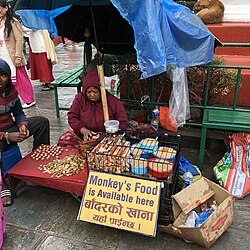Sign at a store in Swyambhunath, Bagmati, Nepal, which reads "Monkey's Food is Available here". Some places use their monkey population as a tourist attraction.