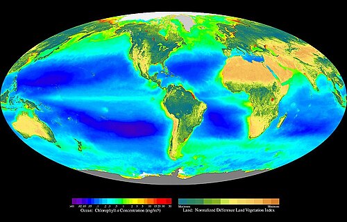 Global oceanic and terrestrial phototroph abundance, from September 1997 to August 2000. As an estimate of autotroph biomass, it is only a rough indicator of primary production potential and not an actual estimate of it.