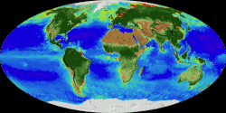 An animation of a year in organism density on Earth. The South Pacific Gyre is an example of a so-called "oceanic desert", visibly low (purple) in organism density. Polar deserts are visible in consistent white and arid deserts in consistent brown, with tundras oscillating between white and brown.