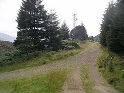 Great Glen Way on forest tracks near Loch Laggan
