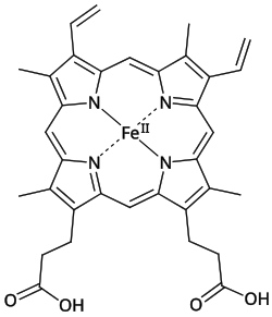 Simplified structure of Heme B; in the protein additional ligand(s) are attached to Fe.