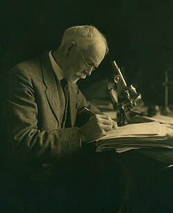 Edmund Beecher Wilson, before 1891