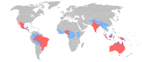 Together, these eight countries contain more than 50% of the world's languages. These areas are the most linguistically diverse[142] in the world, and the locations of most of the world's endangered languages.