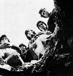 Count Five in 1966