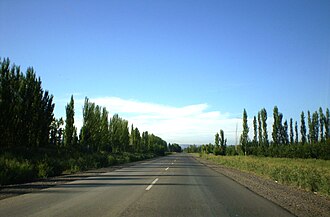 Roadside scenery along the Upper Valley of the Río Negro ("Black River").