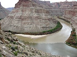 The confluence of the Green River (upper right) and Colorado (lower right)