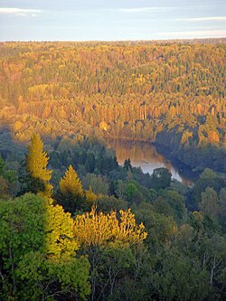 Latvia has the fifth highest proportion of land covered by forests in the European Union.