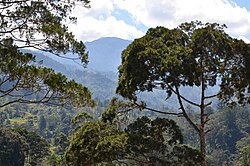 Highlands in New Guinea