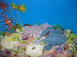 Diorama of a Silurian seafloor