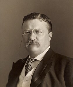 United States President Theodore Roosevelt (1901–1909), the driving force behind US construction of the Panama Canal.