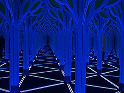 Inside the Mirror Maze.