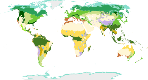 Terrestrial biomes of the world according to Olson & Dinerstein et al. and used by the WWF and Global 200: