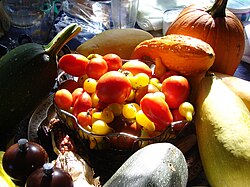 An arrangement of fruits commonly thought of as culinary vegetables, including maize, tomatoes, and squashes