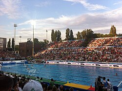 Hungary men's national water polo team is considered among the best in the world, holding the world record for Olympic golds and overall medals.