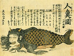 "Ningyo no zu": A flier of a mermaid, dated fifth month of Bunka 2 (1805).