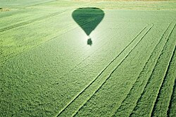 Heiligenschein, or hotspot, around the shadow of a hot-air balloon cast on a field of standing crops (Oxfordshire, England)