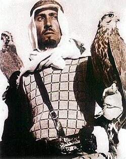 King Abdullah practising falconry, a traditional pursuit in the country