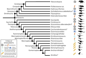 Distribution of feather types among dinosaurs according to Benton et al., 2019. The authors also consider pterosaurs feathered animals.[7]