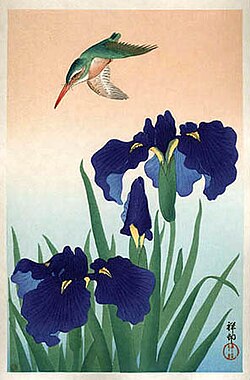 Bird-and-flower painting: Kingfisher and iris kachō-e woodblock print by Ohara Koson (late 19th century)