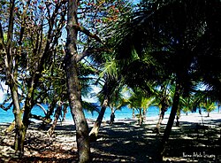 Beach in Coto, Isabela