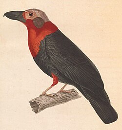 1838 drawing