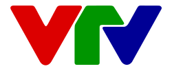 Shown is the logo of the state broadcaster Vietnam Television.