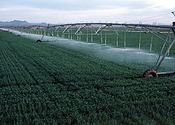 Modern agriculture: a center pivot irrigation system on a field