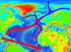 The North Equatorial Current and the Gulf Stream
