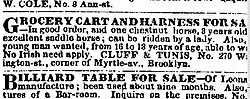 New York Times want ad 1854—the only New York Times ad with NINA for men.