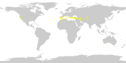 Hot-summer mediterranean climate (Csa) as of 1991-2020, using a threshold of −3 °C (27 °F) for the coldest month