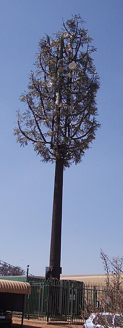 Cellphone tower disguised as a tree