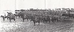 Part of the Australian Mounted Division supply train