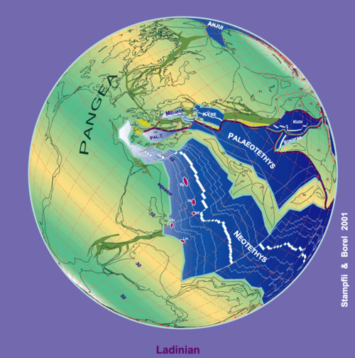 View of the Tethys area during the Ladinian stage (230 Ma)
